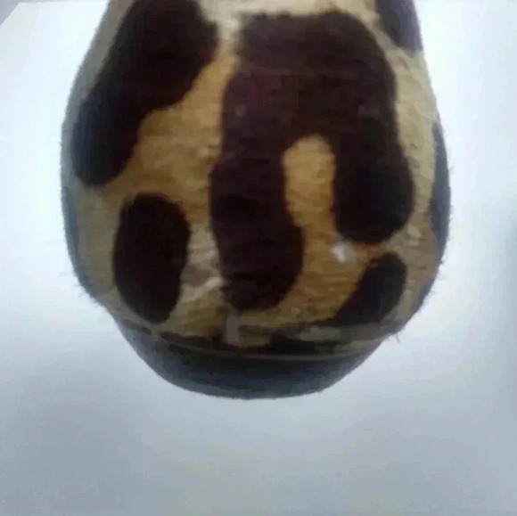 CARLOS SANTANA Leopard Print Flats - Picture 7 of 15